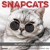 Snapcats 2025 12 X 12 Wall Calendar