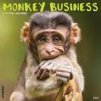 Monkey Business 2025 12 X 12 Wall Calendar