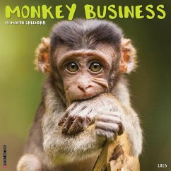 Monkey Business 2025 12 X 12 Wall Calendar - Willow Creek Press