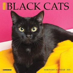 Just Black Cats 2025 7 X 7 Mini Wall Calendar - Willow Creek Press