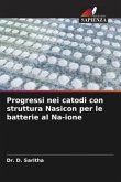 Progressi nei catodi con struttura Nasicon per le batterie al Na-ione