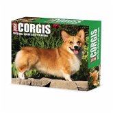 Corgis 2025 6.2 X 5.4 Box Calendar