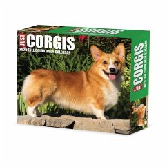 Corgis 2025 6.2 X 5.4 Box Calendar - Willow Creek Press