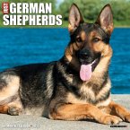 Just German Shepherds 2025 12 X 12 Wall Calendar