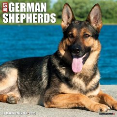 Just German Shepherds 2025 12 X 12 Wall Calendar - Willow Creek Press