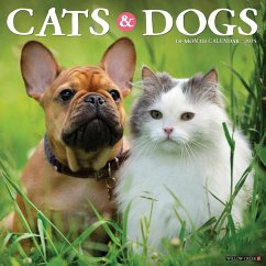 Cats & Dogs 2025 12 X 12 Wall Calendar - Willow Creek Press