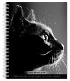 The Browntrout Portrait Series: The Regal Cat 2025 6 X 7.75 Inch Spiral-Bound Wire-O Weekly Engagement Planner Calendar New Full-Color Image Every Week