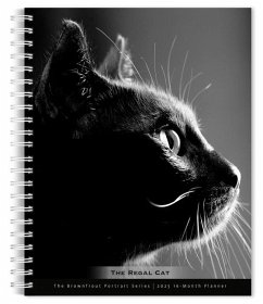 The Browntrout Portrait Series: The Regal Cat 2025 6 X 7.75 Inch Spiral-Bound Wire-O Weekly Engagement Planner Calendar New Full-Color Image Every Week - Browntrout