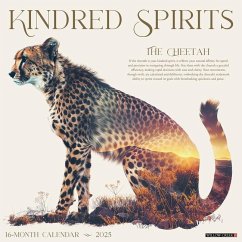 Kindred Spirit 2025 12 X 12 Wall Calendar - Willow Creek Press
