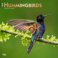 Cover Hummingbirds 2025 12 X 24 Inch Monthly Square Wall Calendar Foil Stamped Cover Plastic-Free