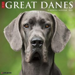 Just Great Danes 2025 12 X 12 Wall Calendar - Willow Creek Press