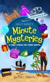 Hailey Haddie's Minute Mysteries: 15 Short Stories For Young Sleuths (eBook, ePUB)