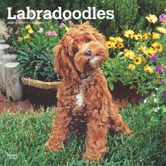 Labradoodles 2025 Square Wrap