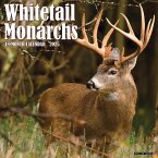 Whitetail Monarchs 2025 12 X 12 Wall Calendar