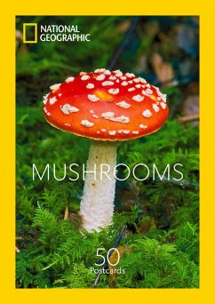 Mushrooms Postcards - National Geographic