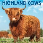 Highland Cows 2025 12 X 12 Wall Calendar