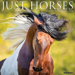 Just Horses 2025 12 X 12 Wall Calendar - Willow Creek Press