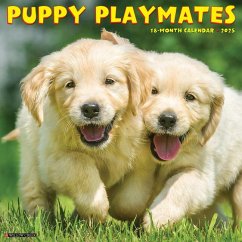 Puppy Playmates 2025 12 X 12 Wall Calendar - Willow Creek Press