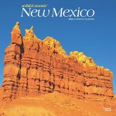 New Mexico Wild & Scenic 2025 12 X 24 Inch Monthly Square Wall Calendar Plastic-Free