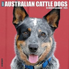 Just Australian Cattle Dogs 2025 12 X 12 Wall Calendar - Willow Creek Press