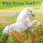 What Horses Teach Us 2025 7 X 7 Mini Wall Calendar