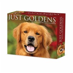 Cover Goldens 2025 6.2 X 5.4 Box Calendar