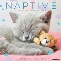 Naptime (Cats) 2025 12 X 12 Wall Calendar - Willow Creek Press