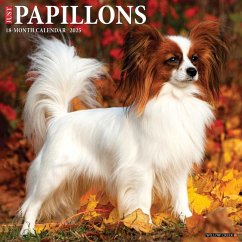 Just Papillons 2025 12 X 12 Wall Calendar - Willow Creek Press