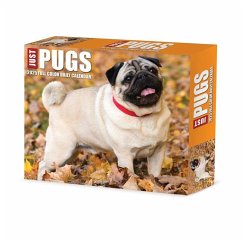 Pugs 2025 6.2 X 5.4 Box Calendar - Willow Creek Press