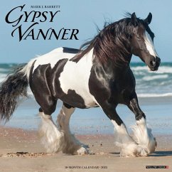 Gypsy Vanner Horse 2025 12 X 12 Wall Calendar - Willow Creek Press