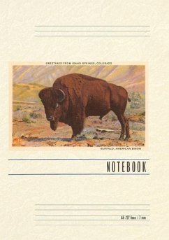 Cover Vintage Lined Notebook Greetings from Idaho Springs