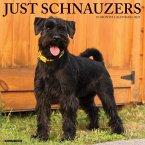 Just Schnauzers 2025 12 X 12 Wall Calendar