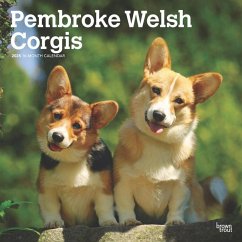 Pembroke Welsh Corgis 2025 12 X 24 Inch Monthly Square Wall Calendar Plastic-Free - Browntrout