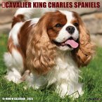 Just Cavalier King Charles Spaniels 2025 12 X 12 Wall Calendar