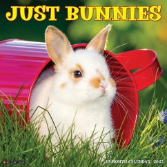 Just Bunnies 2025 12 X 12 Wall Calendar - Willow Creek Press