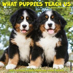 What Puppies Teach Us 2025 12 X 12 Wall Calendar - Willow Creek Press