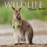 Wildlife Down Under 2025 12 X 12 Wall Calendar