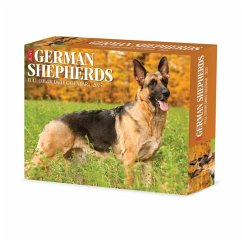 German Shepherds 2025 6.2 X 5.4 Box Calendar - Willow Creek Press