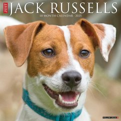 Just Jack Russells 2025 12 X 12 Wall Calendar - Willow Creek Press