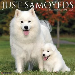 Just Samoyeds 2025 12 X 12 Wall Calendar - Willow Creek Press