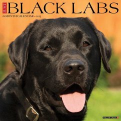 Just Black Labs 2025 12 X 12 Wall Calendar - Willow Creek Press