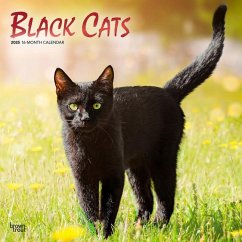 Black Cats 2025 12 X 24 Inch Monthly Square Wall Calendar Foil Stamped Cover Plastic-Free - Browntrout