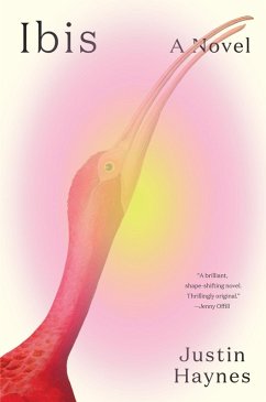 Cover Ibis