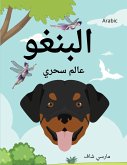 البنغو عالم سحري (Arabic) Bingo's Magical World