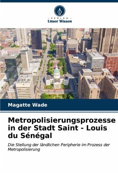 Cover Metropolisierungsprozesse in der Stadt Saint - Louis du Sénégal