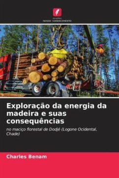 Exploração da energia da madeira e suas consequências - Benam, Charles