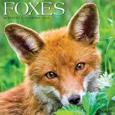 Foxes 2025 12 X 12 Wall Calendar