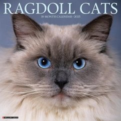 Ragdoll Cats 2025 12 X 12 Wall Calendar - Willow Creek Press