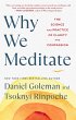 Why We Meditate - Bild 1