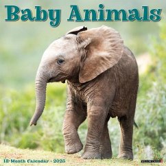 Baby Animals 2025 12 X 12 Wall Calendar - Willow Creek Press